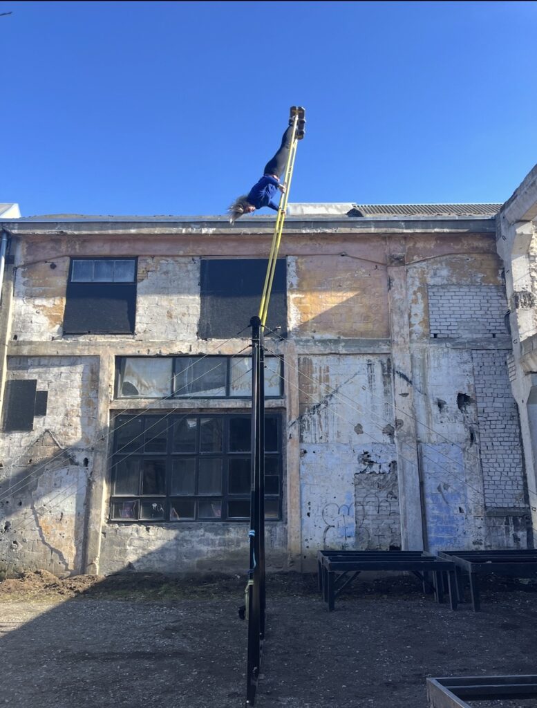 Reine Kustavus onHover